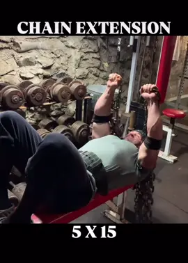 HEAVY TRICEP WORKOUT! Absolutely love training TRICEPS! #motivation #gym #Fitness #GymTok #fitnessmotivation #triceps #workout #training #workoutroutine #workoutmotivation #powerlifting #bodybuilding #savage #homegym #natural #beastmode 