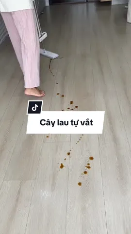 Cây lau tự vắt #parroti #caylaunhathongminh #caylaunha #caylautuvat 