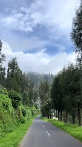 #tosari #bromo #tengger #pasuruan 