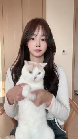 도우인 호소냥