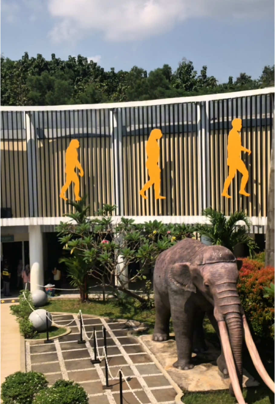 Museum Situs Semedo, Jejak fosil purbakala desa semedo, kedung banteng, tegal, jawa tengah #museum #museumsemedo #tegal #fypシ゚viral 