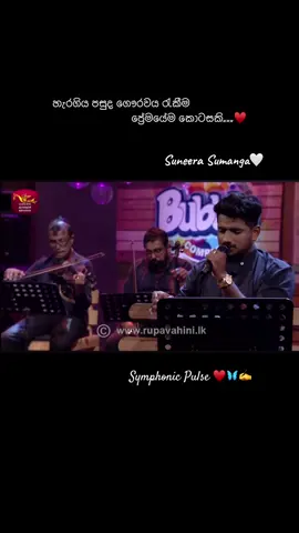 විකසිත පෙම් පොකුරු පියුම්...♥️ #wikasithapem #music #fyp @suneerasumanga ♥️