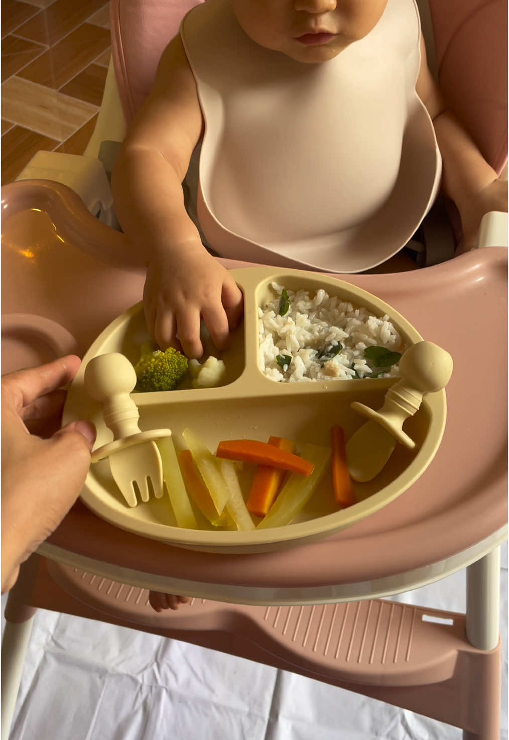 BPA Free Silicone Feeding Set for Baby #bpafree #feedingset #babyfeeding #babyfeedingset #babysiliconefeedingset #siliconeplate #fyp #baby #foryou 