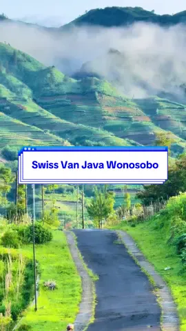 Swiss Van Java Wonosobo Jalan Ke Dieng Via Sikarim  . . . . . #aestheticvibes #mettosmile #fyp @Pesona Indonesia @Wonderful Indonesia @Maul 