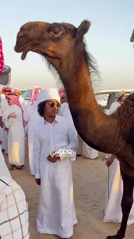 مزاين ال عرجا. تغطيه ( الحماسي ) #اكسبلووووورررر #الصياهد #اكسبلوررررر #فرديات_المجاهيم #ترند #الصياهد #اكسبلورexplore #الصياهد_رماح #اكسبلورررر #ترند_تيك_توك #تصميم_فيديوهات🎶🎤🎬 #الشعب_الصيني_ماله_حل😂😂 #مالي_خلق_احط_هاشتاقات 