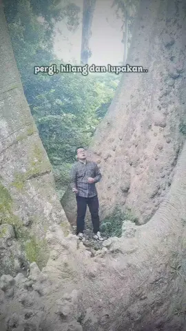 #rot #pergihilangdanlupakan #kebunrayabogor 