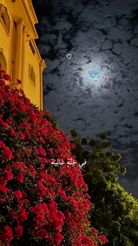 #CapCut #في_جنة_عاليه  #تلاوة_جميل_بصوت_القارئ_الصغير_عبدالله_احمد_شعبان #قران_كريم #راحة_نفسية #اكتب_شي_توجر_عليه #قرآن #اكسبلور #قوالب_كاب_كات #تصميمي #كاب_كات #قرآن_كريم #quran_alkarim #muslim #islam #quran #fyp #explore #fyppppppppppppppppppppppp 