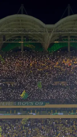 JSK 💛💚 #jsk #jskabylie💛💚 #algerie🇩🇿 #ultrakabylieboys💛💚 #sambaboys #ultratheleader 