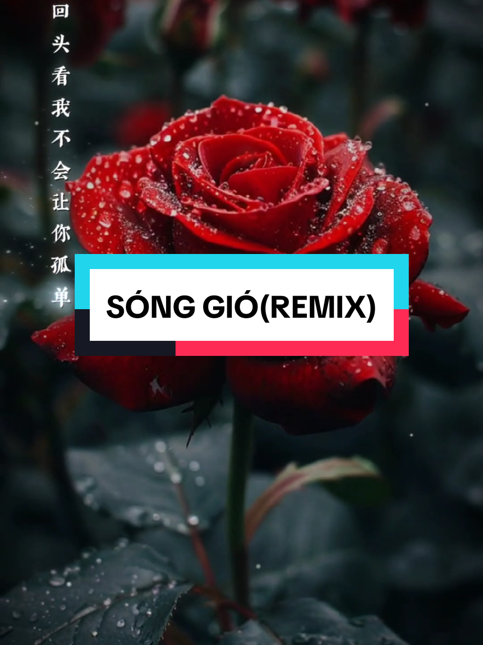 Sóng gió remix (tiếng trung)... #remix #nhacremix #songgio 