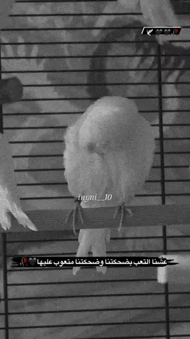 وكلي ضحكه نضحكها ورائها الف  وجع🥀