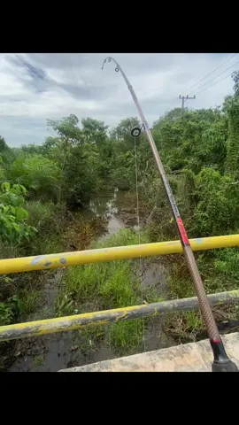 😤#fyp #foryou #mancing #beranda 
