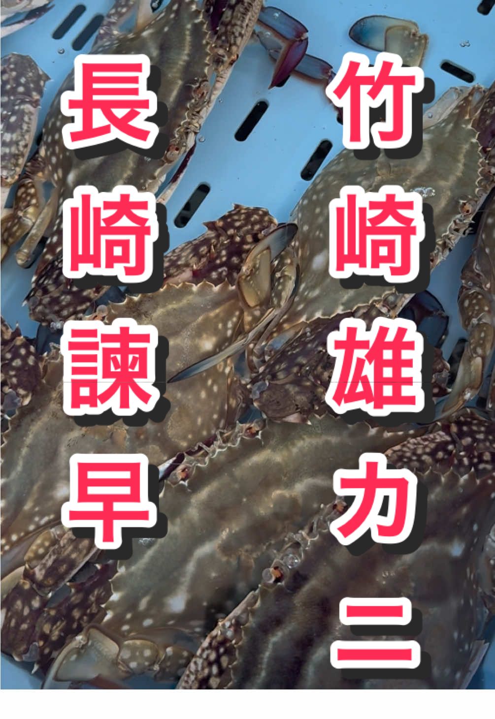 #竹崎カニ #カニ #長崎県 #小長井町 #牟田商店 #食 #海産物 