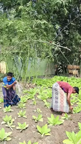 #needyoursupport🥀🥀🥀 #funny #villagefun #500k #unfreezmyaccount 