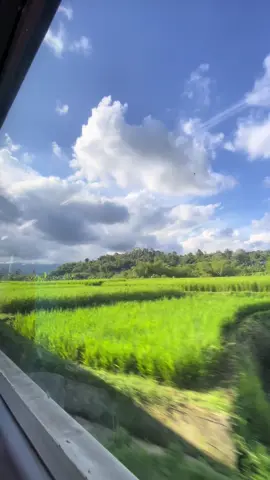 Naik kereta duduk pinggir jendela sambil denger musik india ternyata tak kalah syahduu ya , jdi inget anjeli rahul wkkw #keretaapi #stasiunparungkudasukabumi #pemandanganalam #pesawahan #fyp #fypage 