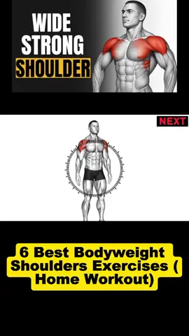 6 Best Bodyweight Shoulders Exercises (Home Workout) #gymhumor #gymmotivation #fitnessmotivation #gymmotivation🏋️‍♀️ #fitnesstips #gymrat #workout #gymexercises #viralvideo #fyp 