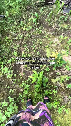 Adek gak bisa jadi idaman abang 😋 #fyp #sawittiktok #sawitbalap #kulisawit #kulisawitkalimantan #sawitkalimantan🌴🌴🇮🇩 #petaniindonesia🇮🇩🇮🇩🇮🇩🌿🌿 
