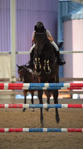 🚀🚀 | uni makes it look easy😝 Wo und was startet ihr als nächstes? #equestrian #horse #showjumping #viral 