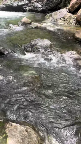 ilog nnmn🏞️🍃#ilog #fyp #highlight #nature 