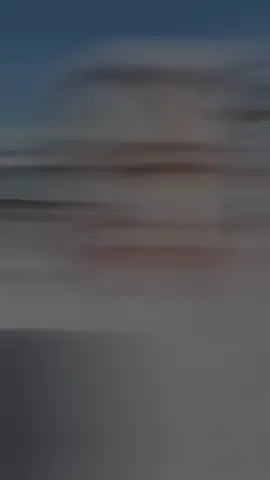 #CapCut 