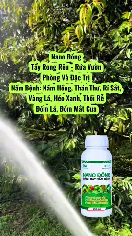 Nano Đồng tẩy rửa vườn sau thu hoạch #saurieng #nongnghiep #phanbonla #xuhuongtiktok 