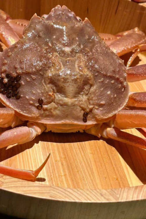 #CapCut #xuhuong  SHABU ❤️ 今天是補班日跟老婆小約會，閒逛到101意外發現的火鍋店，氣氛很好，海鮮活跳跳，桌邊服務讓吃火鍋變輕鬆，火候也控制的很好，給五星喔！❤️❤️❤️