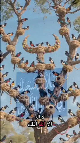 لا اله إلا الله الملك الحق المبين #ازكرو #الدال_على_الخير_كفاعله #صدقه 