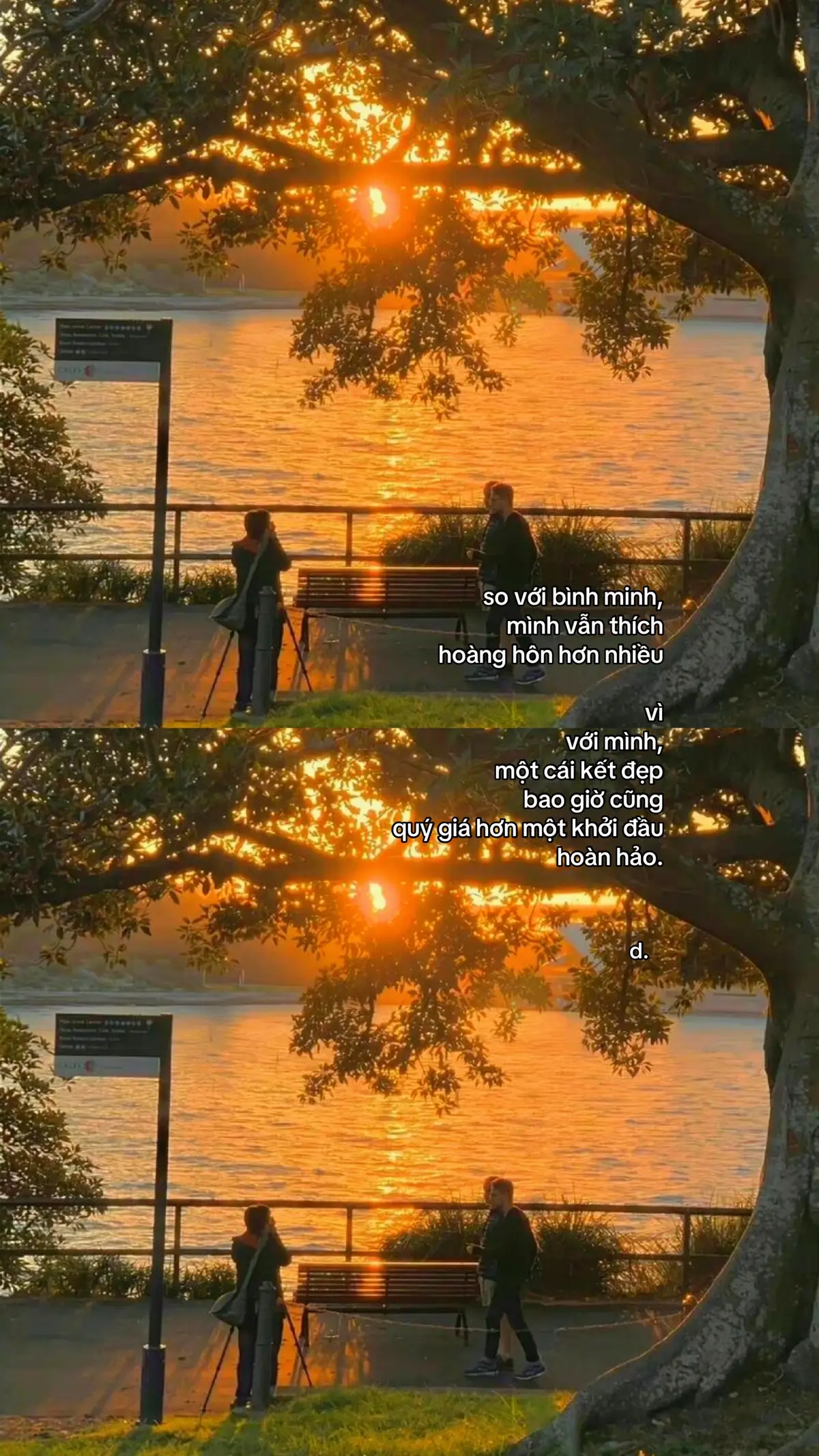 #d 