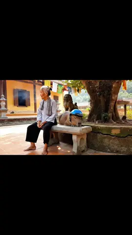 Capy cùng bà đi chùa cầu an… #capybara #bacungcapybara #veo3 #trending #xuhuong #fyp 
