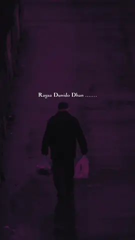 ❤️‍🔥🫂 @FJ Photographer #dekofarahhassan #deko #delhilyrics 