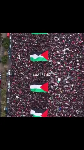 free palestine #freepalestine #fckisraell #fckice #alleyesongaza #resistance 