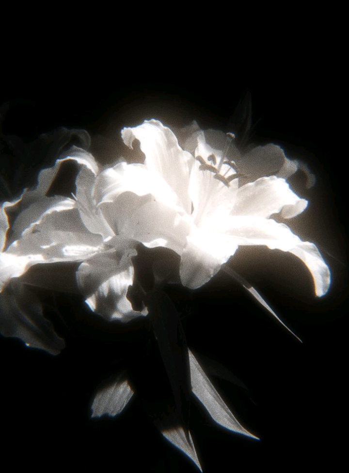 Nako po #rastro #glaizadecastro #fypシ゚viral🖤tiktok #glaiza #fyppppppppppppppppppppppp #tiktok #fyp #fypage #fypシ゚ #wlwtiktok #therichmansdaughter #wlw #jade #althea #bading #rastro #trmd 