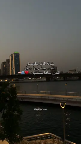 ♥️♥️♥️👬✨#اليسا #اليسا_في_مصر #واحنا_سوا 