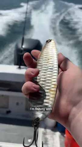 These giant hunks of metal catch big fish #fishing #fisherman 