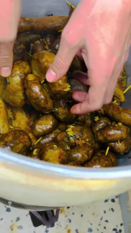 #عصبان_ليبي  #الزاويه_العنقاء_ليبيا🇱🇾 ⛺️🪵🔥 . #ليبيا_طرابلس_مصر_تونس_المغرب_الخليج #السعودية🇸🇦 #الزنتان_طرابلس_مصراته_الزاويه_ليبيا🇱🇾 #مصراته_الصمود🇱🇾🇱🇾🔥😌 #الشعب_الصيني_ماله_حل😂😂 #اكسبلورexplore 