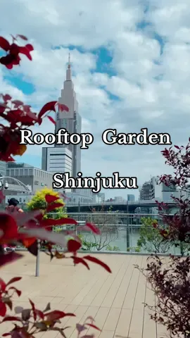 Rooftop Garden at Basuta Shinjuku Bus Terminal in the Shinjuku District of Tokyo, Japan. #rooftop #rooftopgarden #shinjuku #cityview #traveltiktok #fypage 