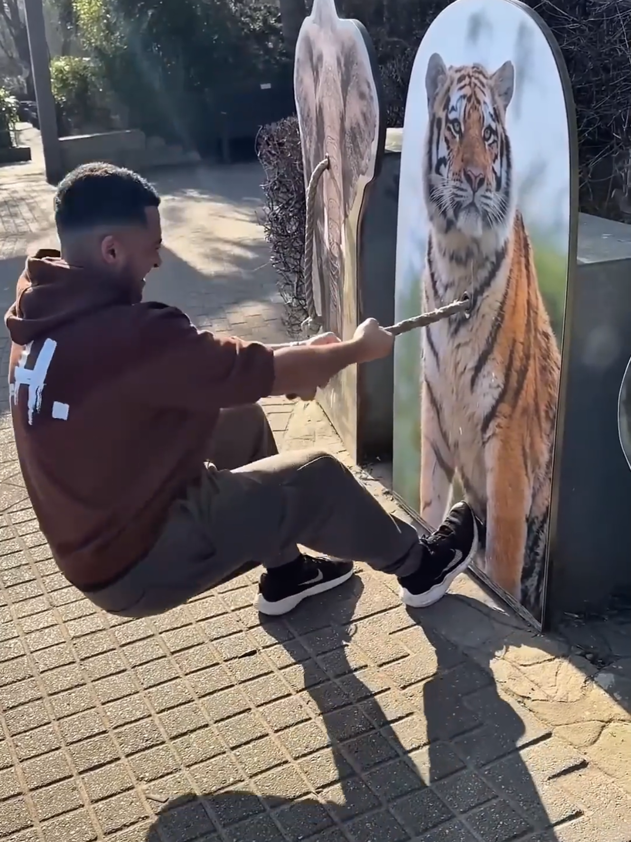 Zoo Strength Test #amazing #awesome #zoo #animals #unique Credit: @Louis Howard 