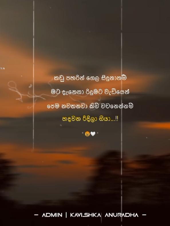 කඩු පහරින් ගෙල සිදුනා නම්...!! 😩💗 #wiit_for_drop😩💗 #kavishka_quotes1 #drop #song #foryou #srilanka #viral #viralvideo @𝙱 𝙺   𝚀 𝚄 𝙾 𝚃 𝙴 𝚂 | 📍 @𝐒 𝐀 𝐒 𝐈   🎲📍 