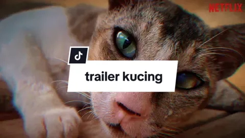 TRAILER KUCING | Siapa yang akan bertahan? Siapa yang akan terus mengibaskan ekornya dengan angkuh? Cuplikan akhir @Wakidun Klontong #MeongflixOriginal #CatWars #KucingLucuIndonesia #NetflixKucing #KucingGalak #ParodiTrailer #FYP #DuelKucing #kucingberantem 