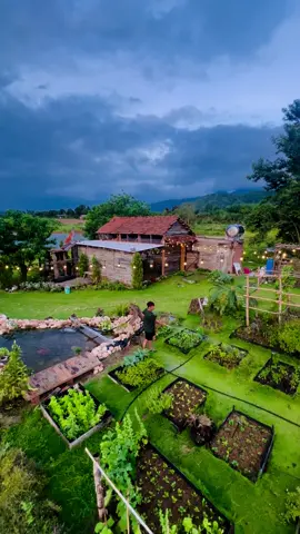 mỗi cuộc đời đều có lộ trình riêng, nhanh hay chậm tùy thuộc vào mưu cầu của mỗi người. thong dong đi trên con đường của chính mình, có một mái nhà để về, có một bữa cơm sau ánh hoàng hôn. cả một cuộc đời dài phía trước, bình an và sức khỏe, có lẽ là đủ rồi.#đấtgarden 