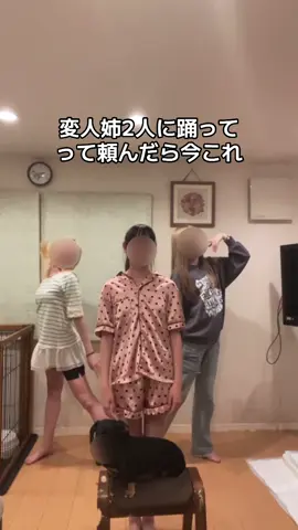 毎日疲れる  #三姉妹 #末っ子 #fjk #ミニチュアダックスフンド #ナルトダンス #中国ダンス