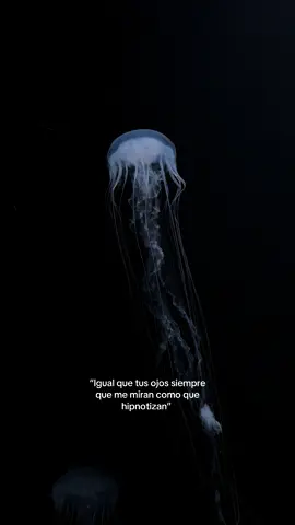 #aurora #song #mora #paratii #fouryoupage #ponmeenparati 