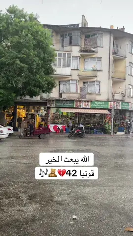 #قونيا________________قونيا😌💙 #💔🥀 #الشعب_الصيني_ماله_حل😂😂 #متابعه_ولايك_واكسبلور_احبكم #تصميم_فيديوهات🎶🎤🎬 