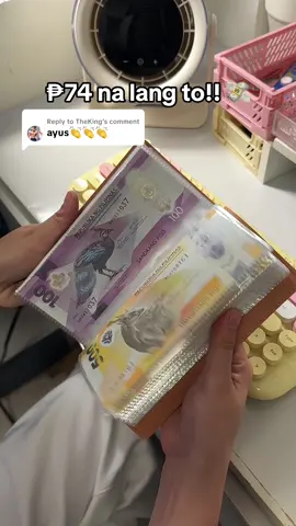 Replying to @TheKing Nakahanap ako ng budget friendly ipon challenge binder na no need na tupiin ang pera 💸 #iponchallenge #100envelopechallenge #100envelopesavingschallenge #fypシ゚viral #trending 
