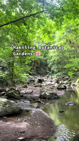 Visited my alma matter, touched some grass and spent the day in nature 🍃 📍 Makiling Botanic Gardens, UPLB 💸 60 PHP entrance fee 🚙 2 hrs from Manila #uplb #naturetrip #ecotrail 