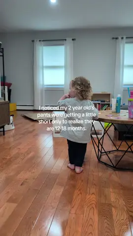 for reference the tshirt is a 2T. people actually ask if she's big for her age...at 50th percentile for weight and THIRD percentile for height. what?? #toddler #toddlersoftiktok #toddlermom #mom #momtok #smbc #singlemom 