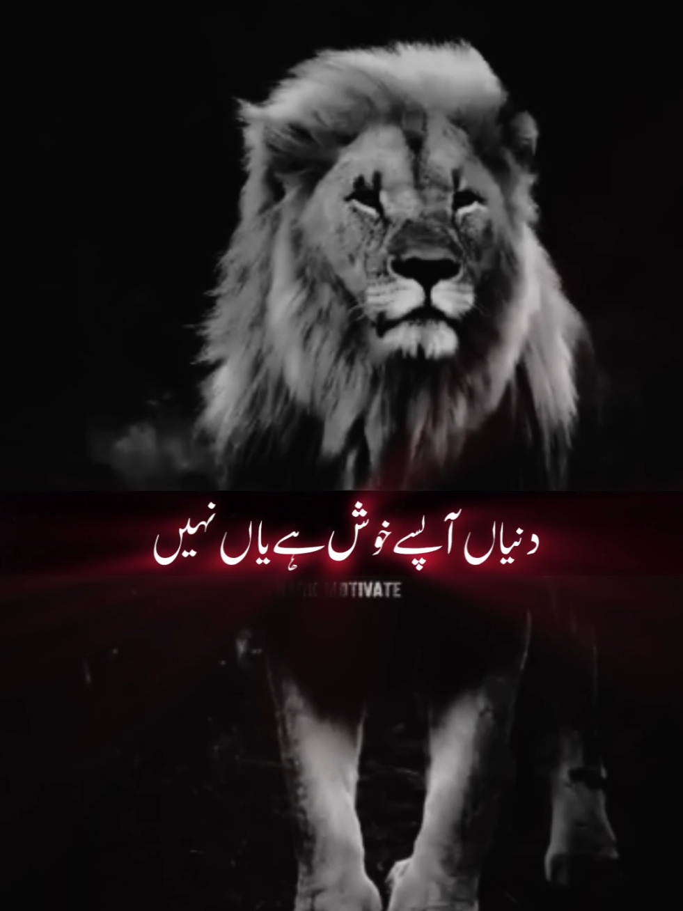 Duniyan Apse Khosh Hai yaan Nahi..🤔🔥 #motivation #motivational #motivationalvideo #motivationalquotes #motivationalspeech #trending #foryou #foryoupage #viral #viralvideo 