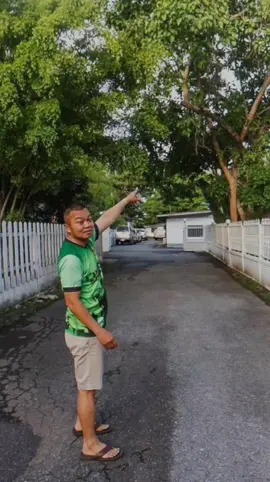 ชีวิตที่เรียบง่ายสไตล์ 
