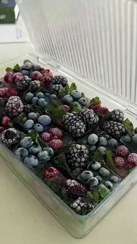 ASMR Ice Restock 🧊💎🥰 #asmr #asmrtiktoks #asmrrestock #restock #restocking #fridge #fridgeorganization #ice #iceasmr #icedrawer #icerestock #organizing #fyp 