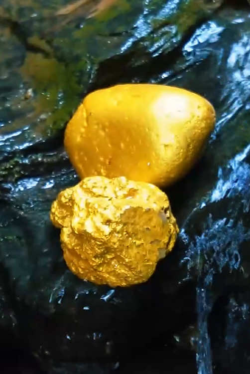 #gold #goldnugget #diamond #goldpaning #treasure #treasurefinds #milionviews #golddiscovery #goldhunter #treasurehunt #treasurehunting 