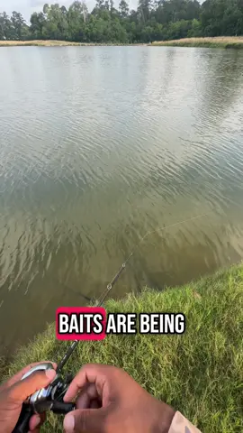 #fypツ #jigtrey #fishingtips #bassfishingtips #probassfishing #fishingluresforbass #bassfishinglive #giantbassfishing #bassfishingluressetup #hugebassfishing #bestbasssetupfishing #bassfishingbaitcaster #fishingbassvideos #bassfishingfunny #bassfishing2023 #bassfishingtipsseptember #bassfishingtips #probassfishing #mythickestglassbassslide #bassfishinglures2023 #bassprofishing2023 #fishingluresforbass